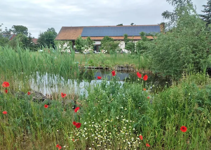 Hof Schwericke